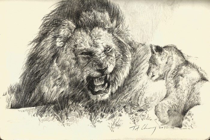 Lion and Cub Sketch