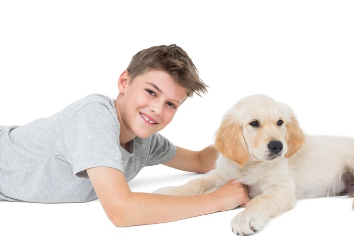 Boy and Golden Retriever Puppy on White Background