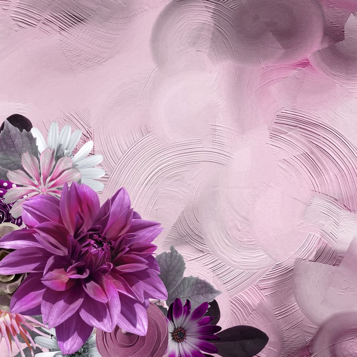 Dahlias and Mesembryanthemum flowers on pink textured background