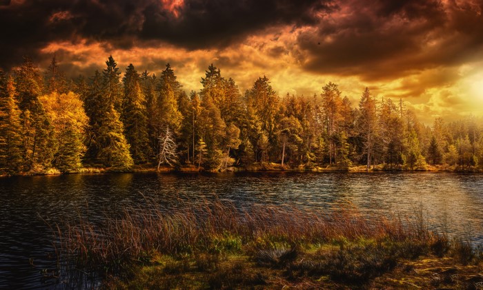 Autumn forest by a lake under dramatic clouds