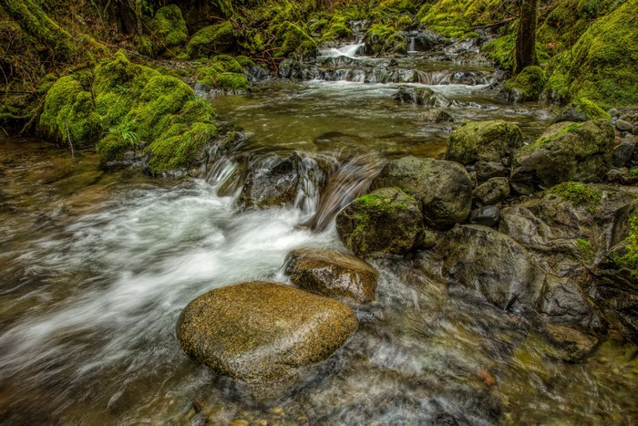 Mossy Rocks and Waterfalls in Koksilah River Park, Canada