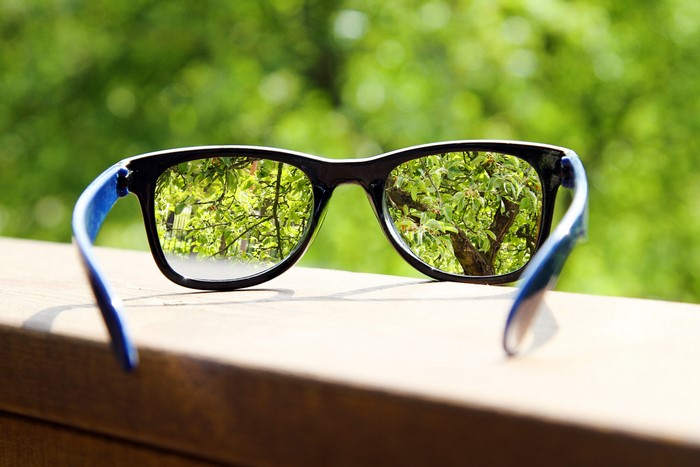 Close-up of eyeglasses reflecting trees