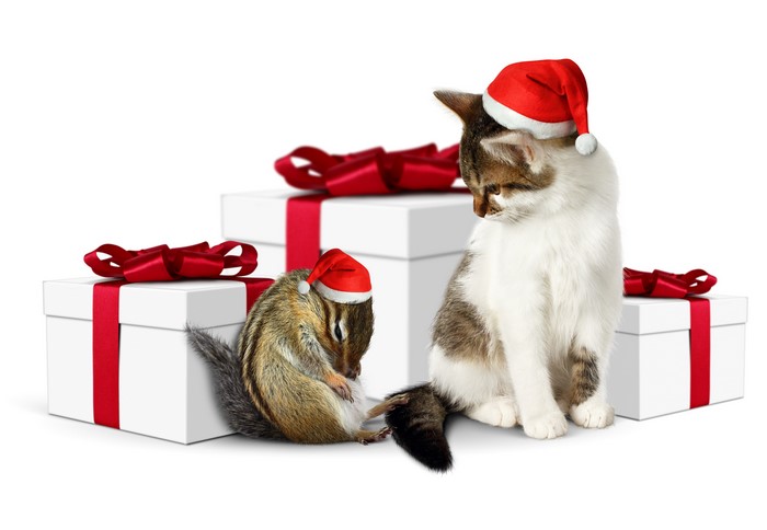 Kitten and Chipmunk with Christmas Gifts