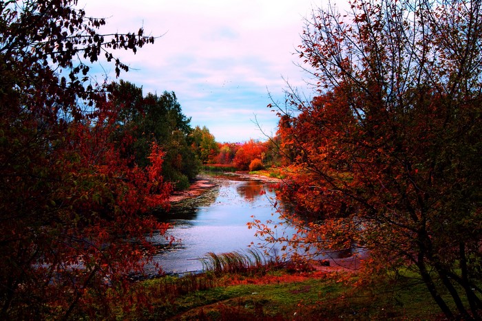 Autumn river surrounded by trees with red and orange leaves