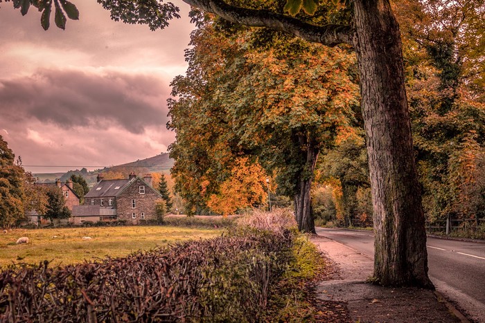 Autumn scene in Bamford, England with houses and trees