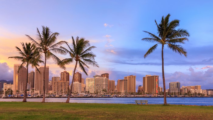 Honolulu skyline with palm trees at sunset