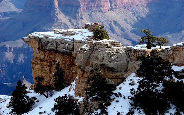 Snow-covered Grand Canyon cliffs with pine trees