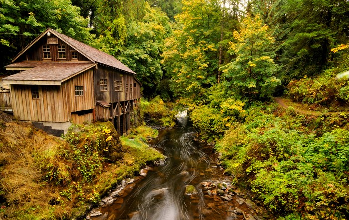 Wooden watermill by a river in a forest