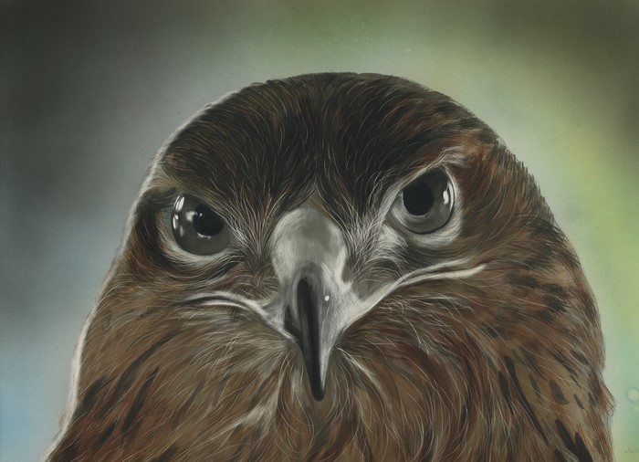 Close-up painting of a hawk's head