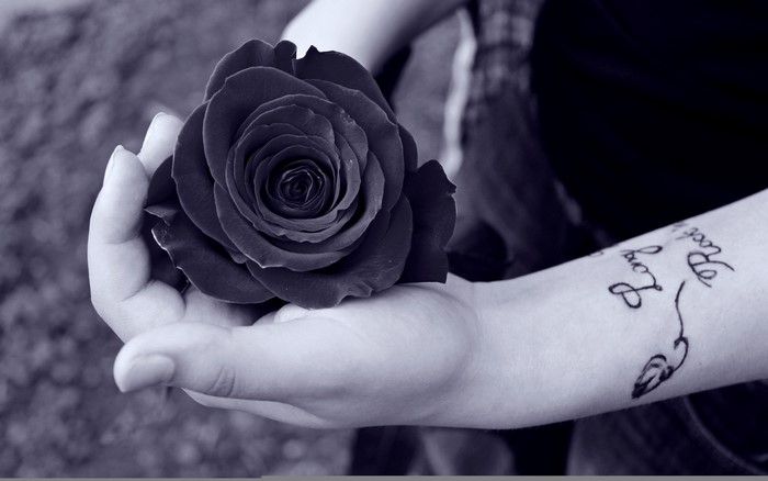 Black and white rose held in hands with tattoo