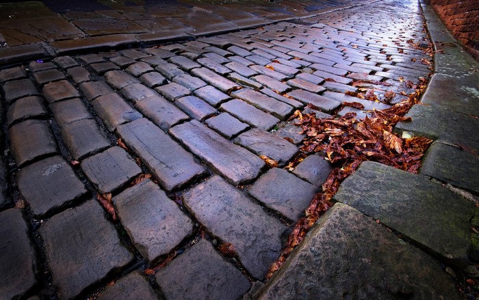 Cobblestone street with fallen autumn leaves