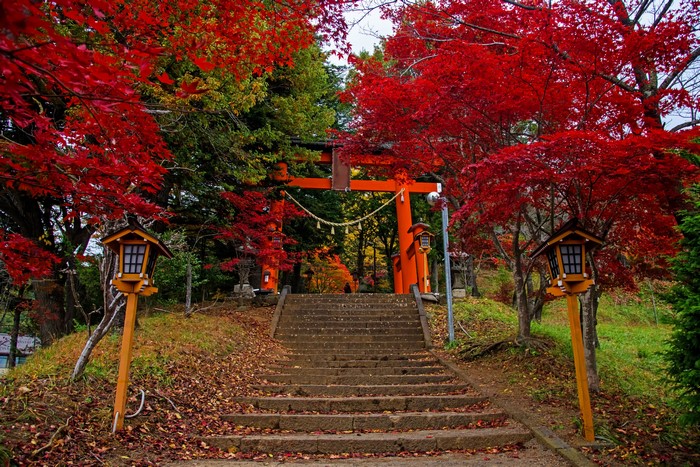 Stairs leading to a Torii gate in Fujiyoshida, Japan