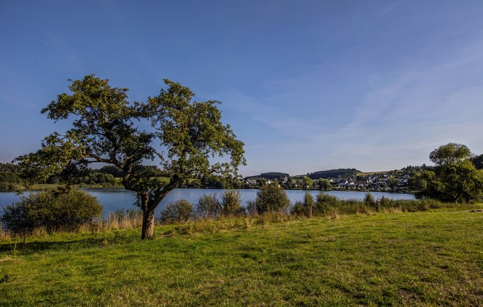 4K Schalkenmehrener Germany Trees River