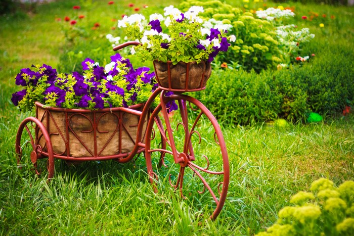 Decorative bicycle planter with purple and white petunias