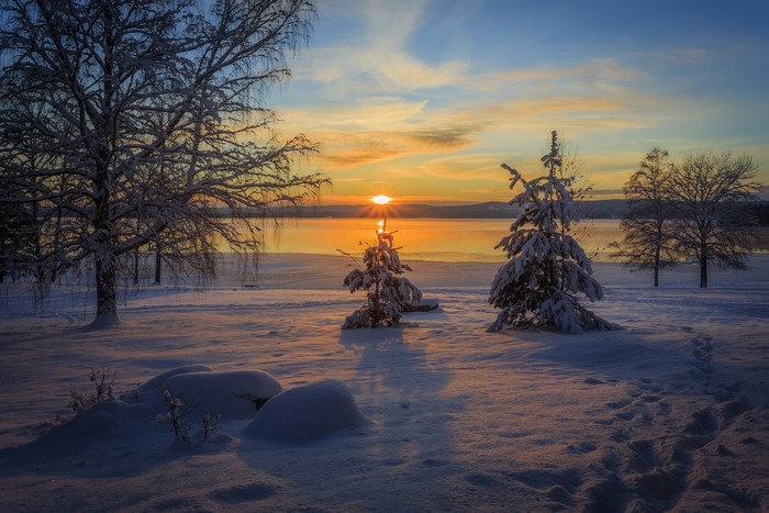 4K Winter Sunrise Over Snowy Landscape with Trees