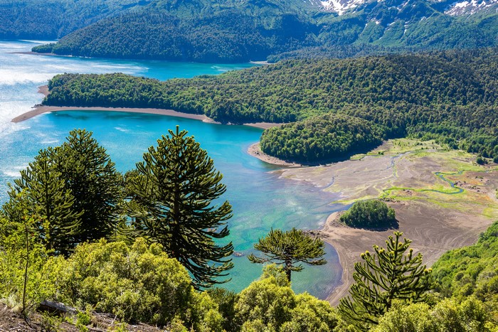 Conguillio National Park, Chile