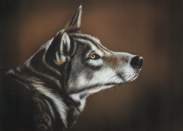 Painting of a Wolf's Head
