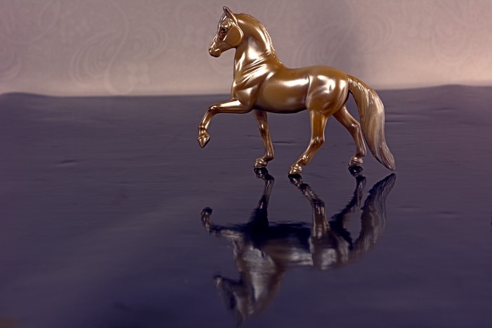 Gold horse toy with reflection