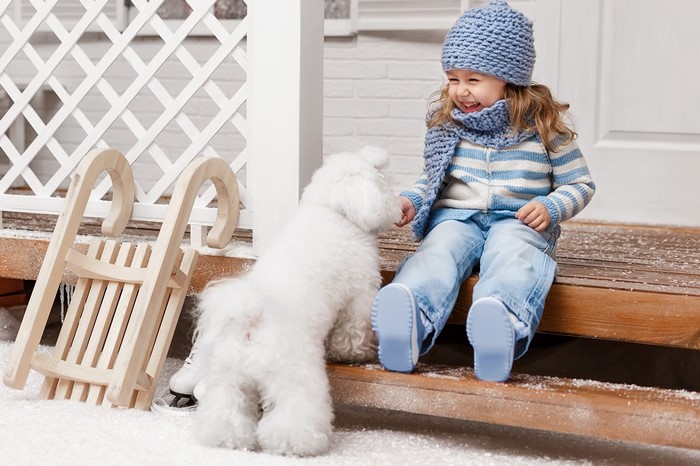 Little girl and Bolognese dog in winter