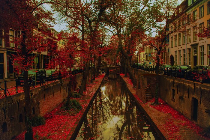 Autumn canal in Utrecht, Netherlands with red foliage