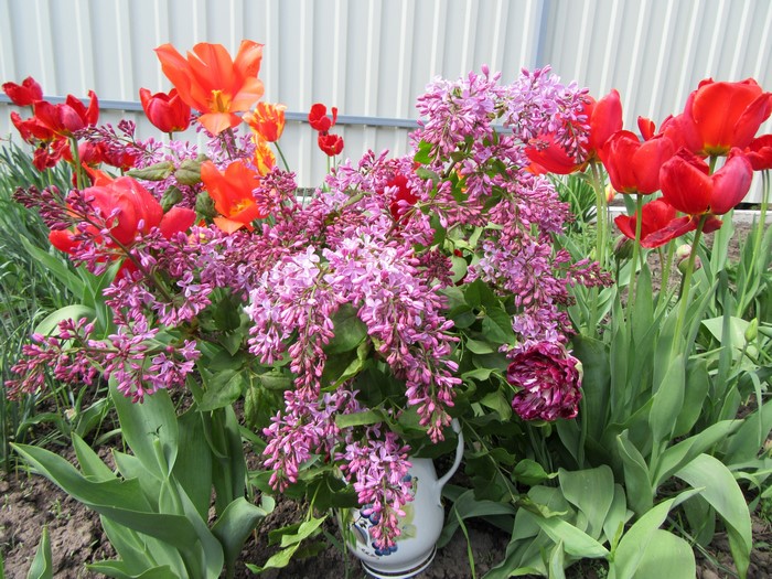 Bouquet of Lilacs and Tulips in a Vase
