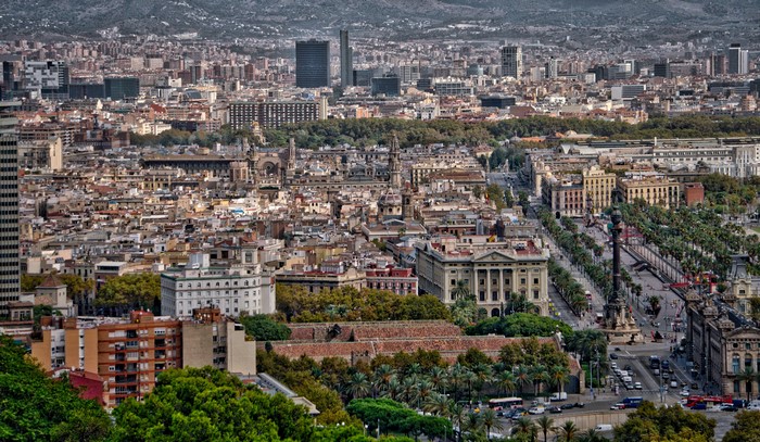 Barcelona cityscape with buildings and palm-lined street