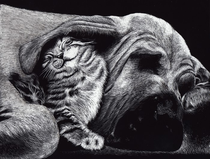 A cat sleeps nestled in a dog's fur