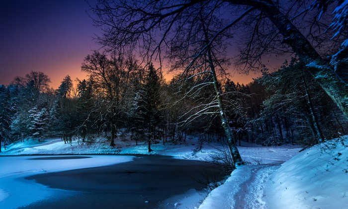 4K, 5K, Seasons, Winter, Forests, Night, Snow, Trees, HD Wallpaper ...