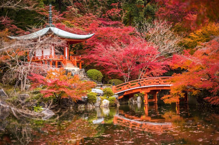 Japanese Pagoda and Bridge in Autumn