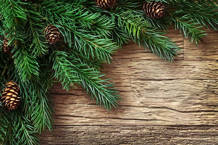 Pine branches with cones on wooden planks