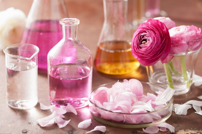 Ranunculus petals and liquids in laboratory glassware