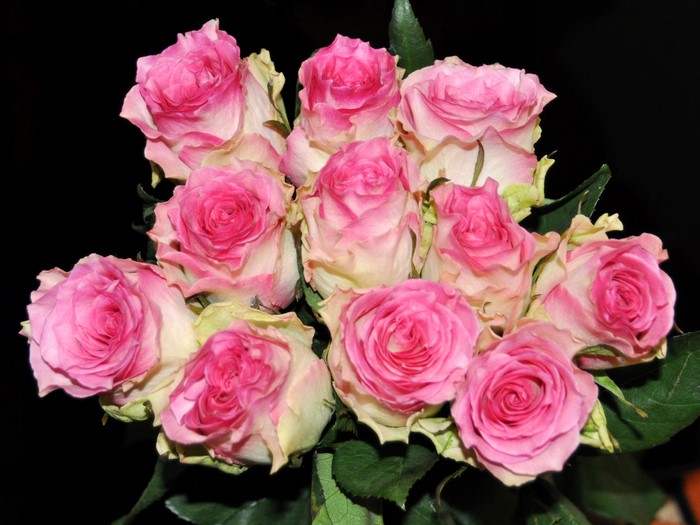 Pink and white roses bouquet on black background