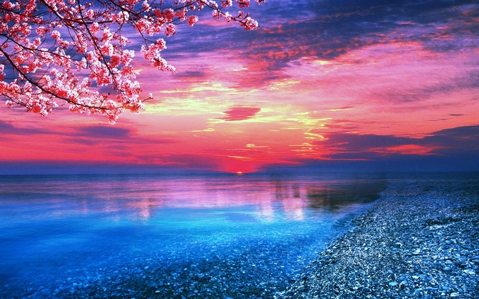 Cherry blossoms over a colorful sunset ocean beach