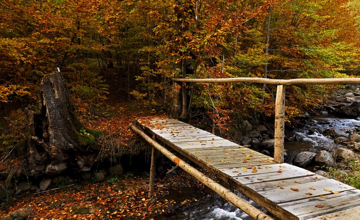 Wooden bridge over a stream in an autumn forest
