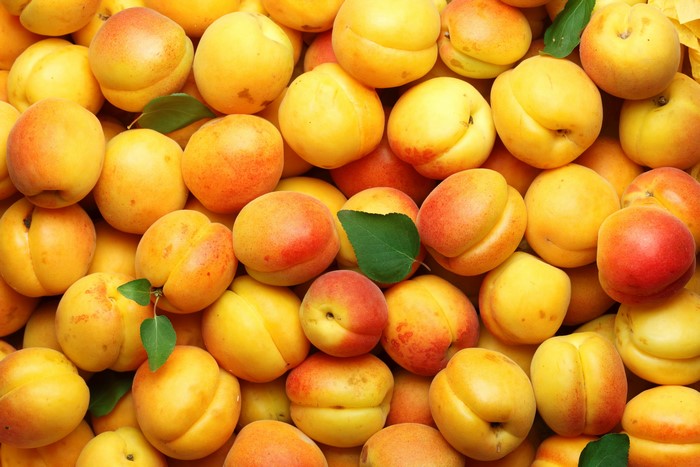 4K Vibrant Apricot Texture Close-Up