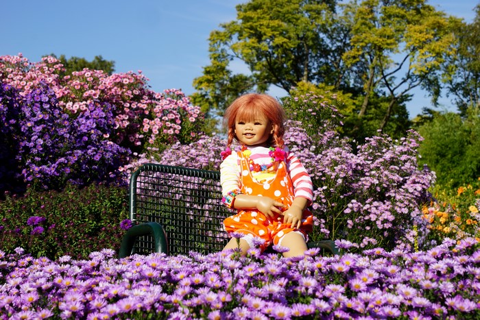 Doll in a park with asters