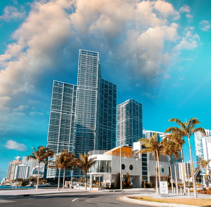 Miami Skyscrapers and Palm Trees under Cloudy Sky
