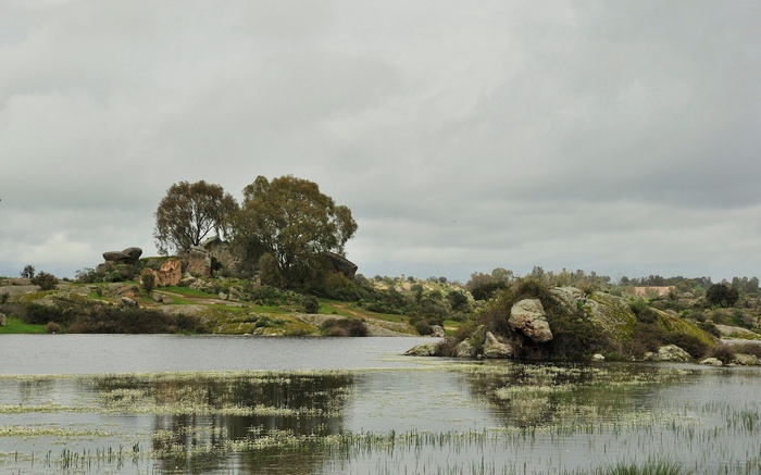 Rocky island with trees and lake under cloudy sky