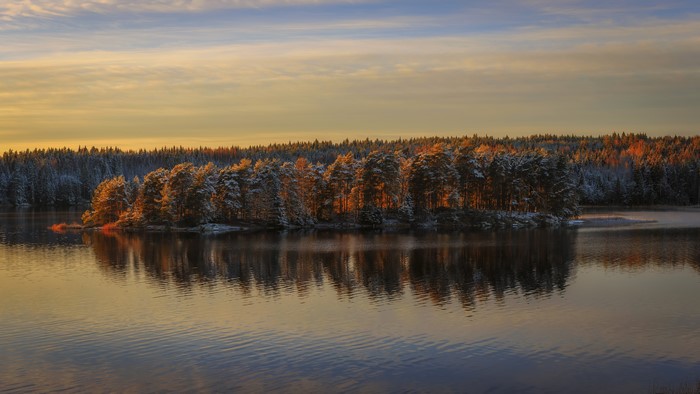 Island forest on a lake at sunset, Arvika, Sweden