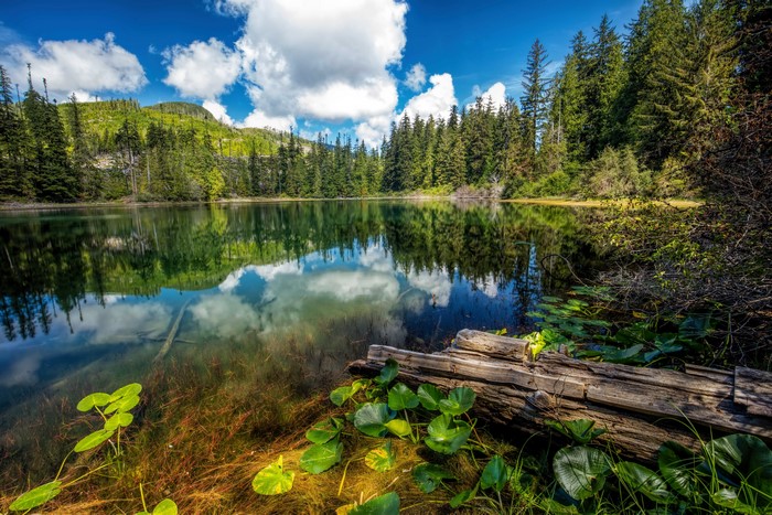 Hadikin Lake Scenery with Forests and Clouds