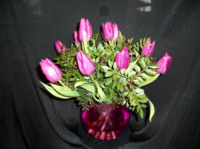 Pink tulips in a purple vase