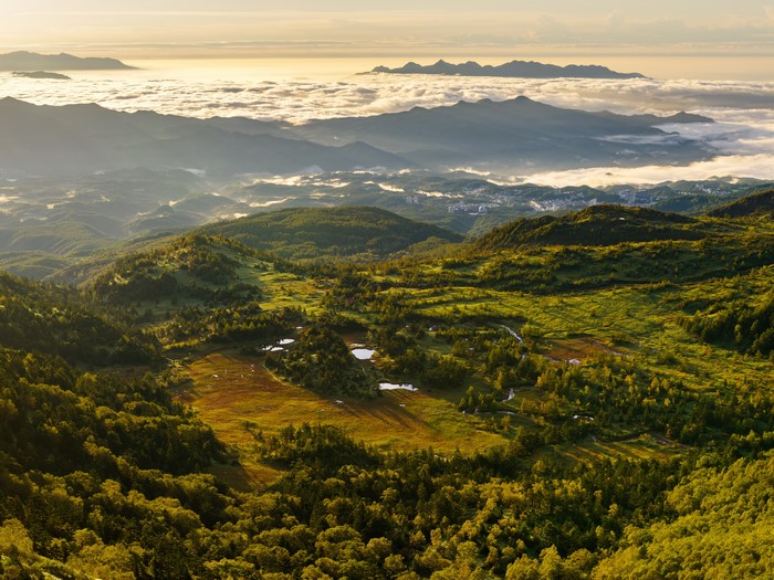 Mountains and Forests from Above
