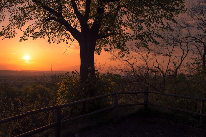 Sunset over Siebengebirge with trees and fence