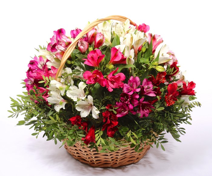 Basket of Alstroemeria flowers