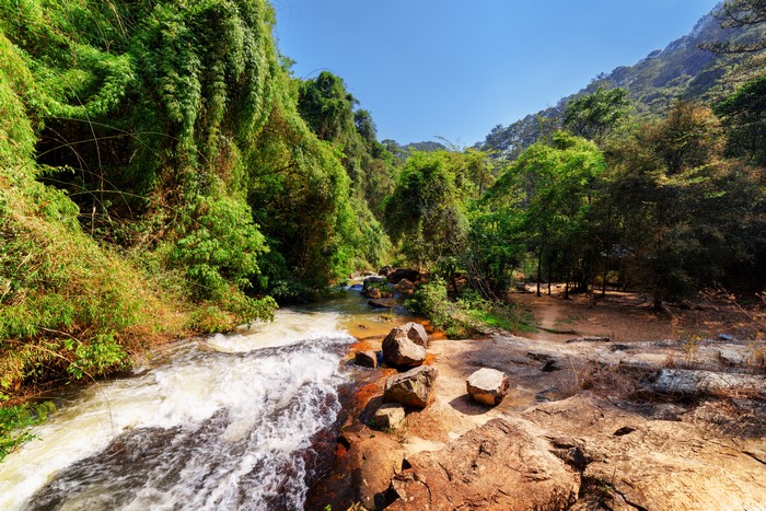Vietnam park with river and trees