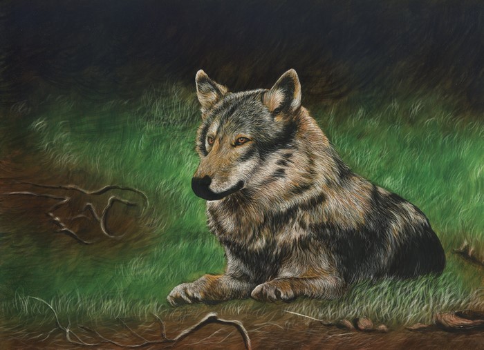 Wolf lying in grass painting