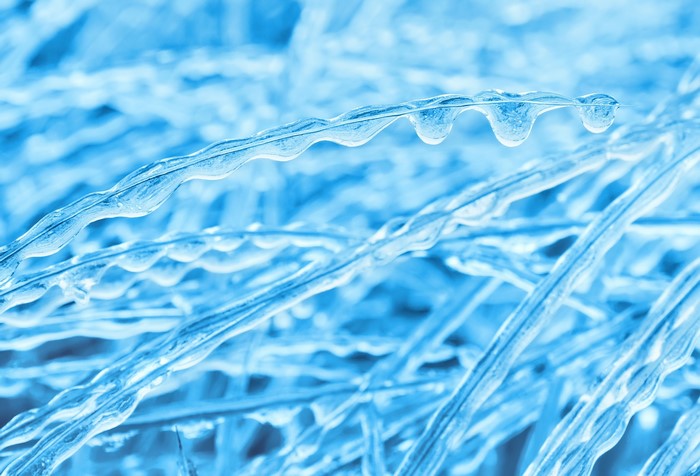 Close-up of icy grass blades with water droplets