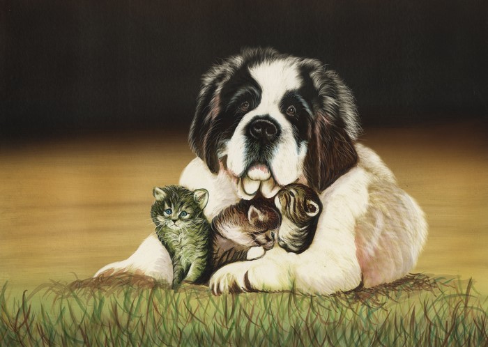 St. Bernard dog with three kittens in grass