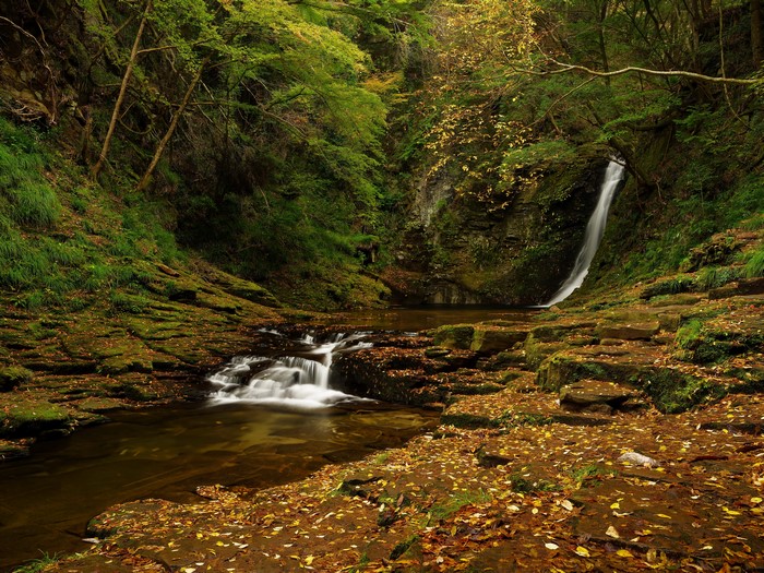 Autumn Waterfall with Mossy Rocks and Fallen Leaves