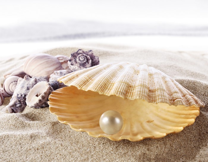 Pearl in a seashell on a sandy beach